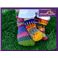 SOLMATE SOCKS BABY COTTON SOCKS Firefly ベビーSサイズ:商品画像3